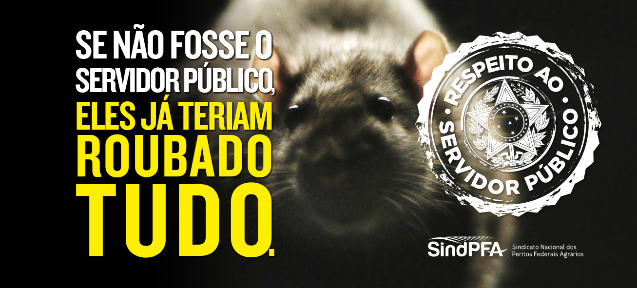 Se não fosse o servidor público, eles já teriam roubado tudo