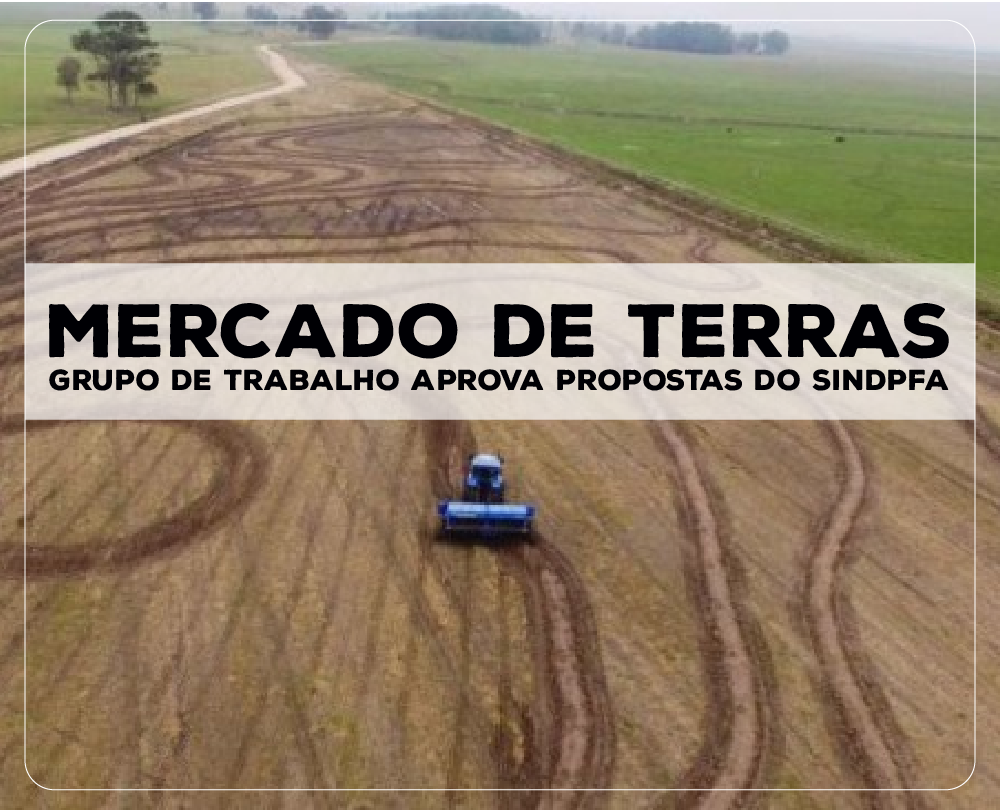 Grupo de Trabalho aprova propostas do SindPFA para área de mercado de terras