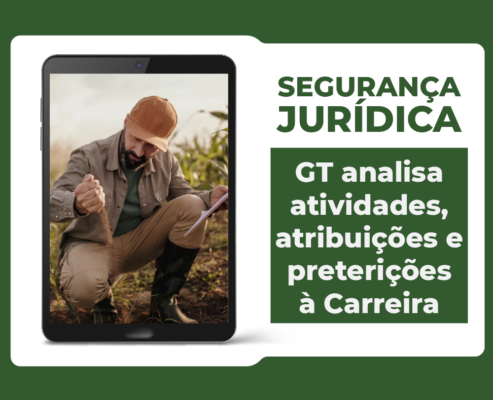 GT analisa atividades, atribuições e preterições à Carreira