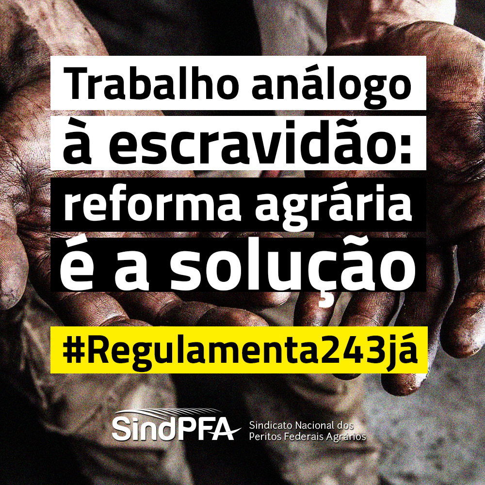 Trabalho análogo à escravidão: reforma agrária é a solução