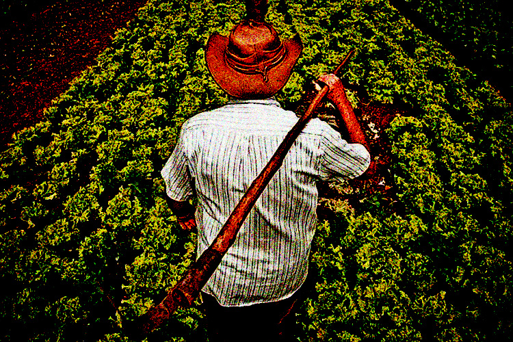 Contribuições para a nova agenda da reforma agrária